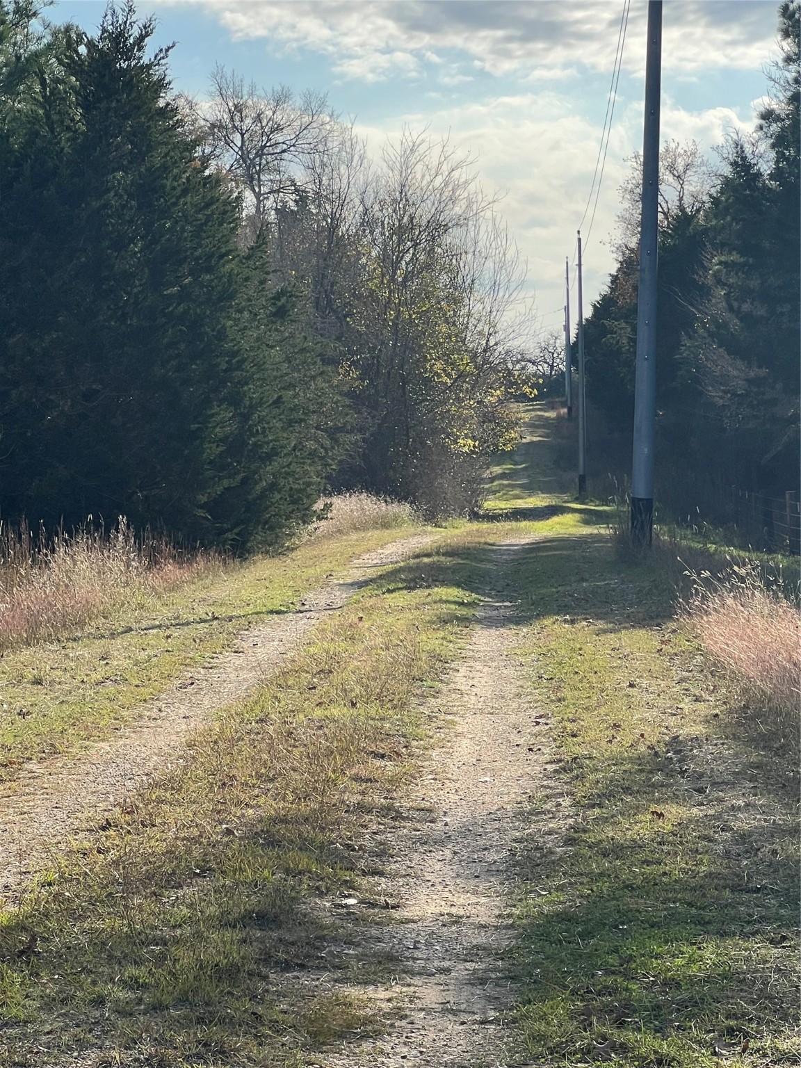 1803 Doe Run Drive Property Photo 12
