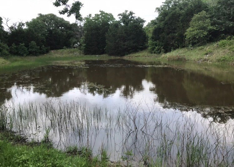 1803 Doe Run Drive Property Photo 16