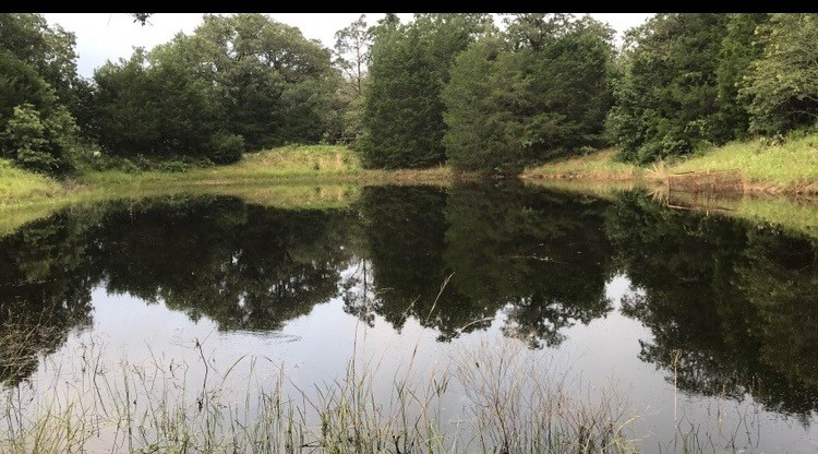 1803 Doe Run Drive Property Photo 17