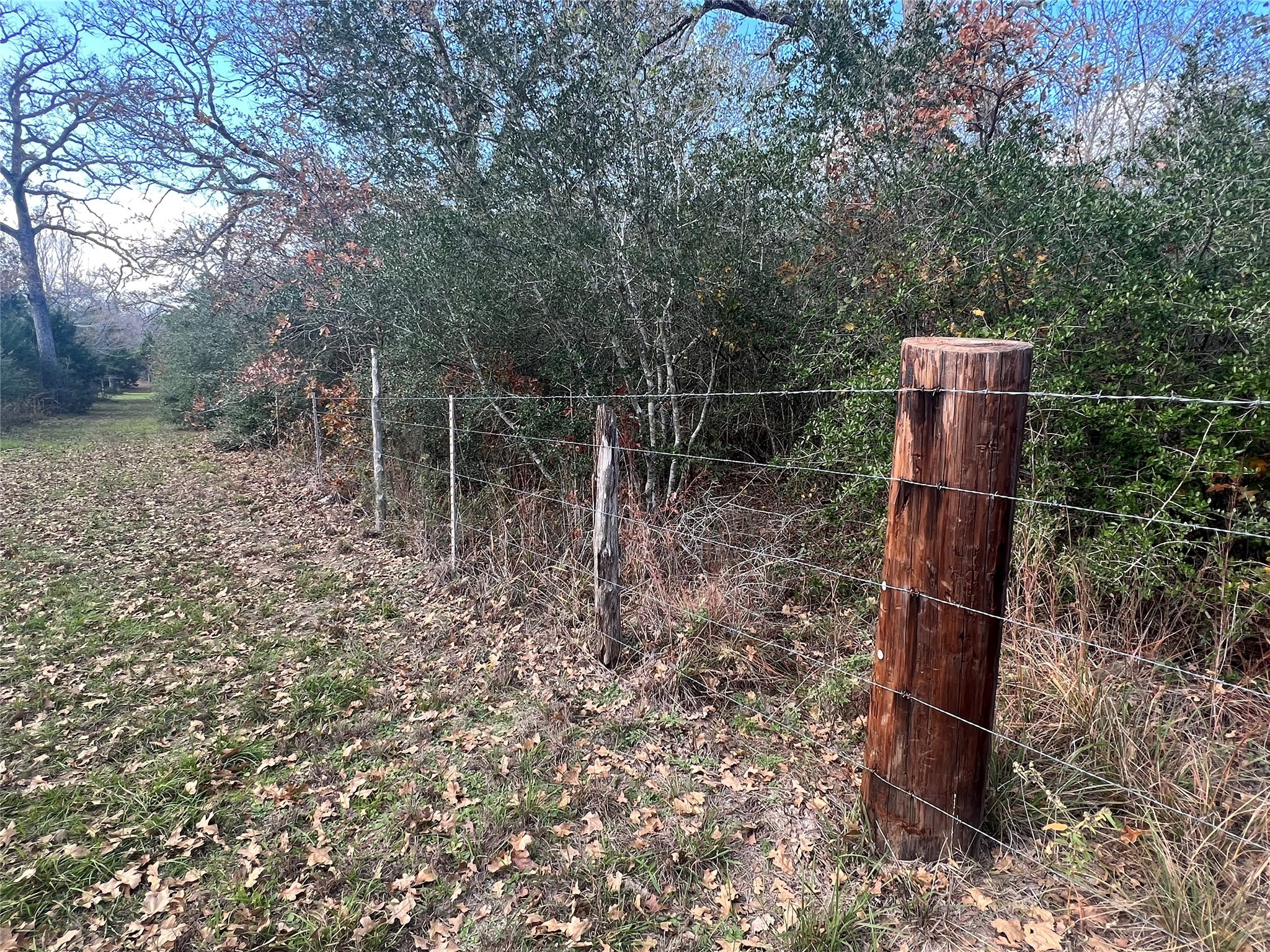 1803 Doe Run Drive Property Photo 20
