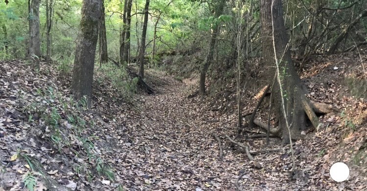 1803 Doe Run Drive Property Photo 22