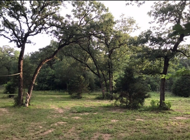1803 Doe Run Drive Property Photo 26