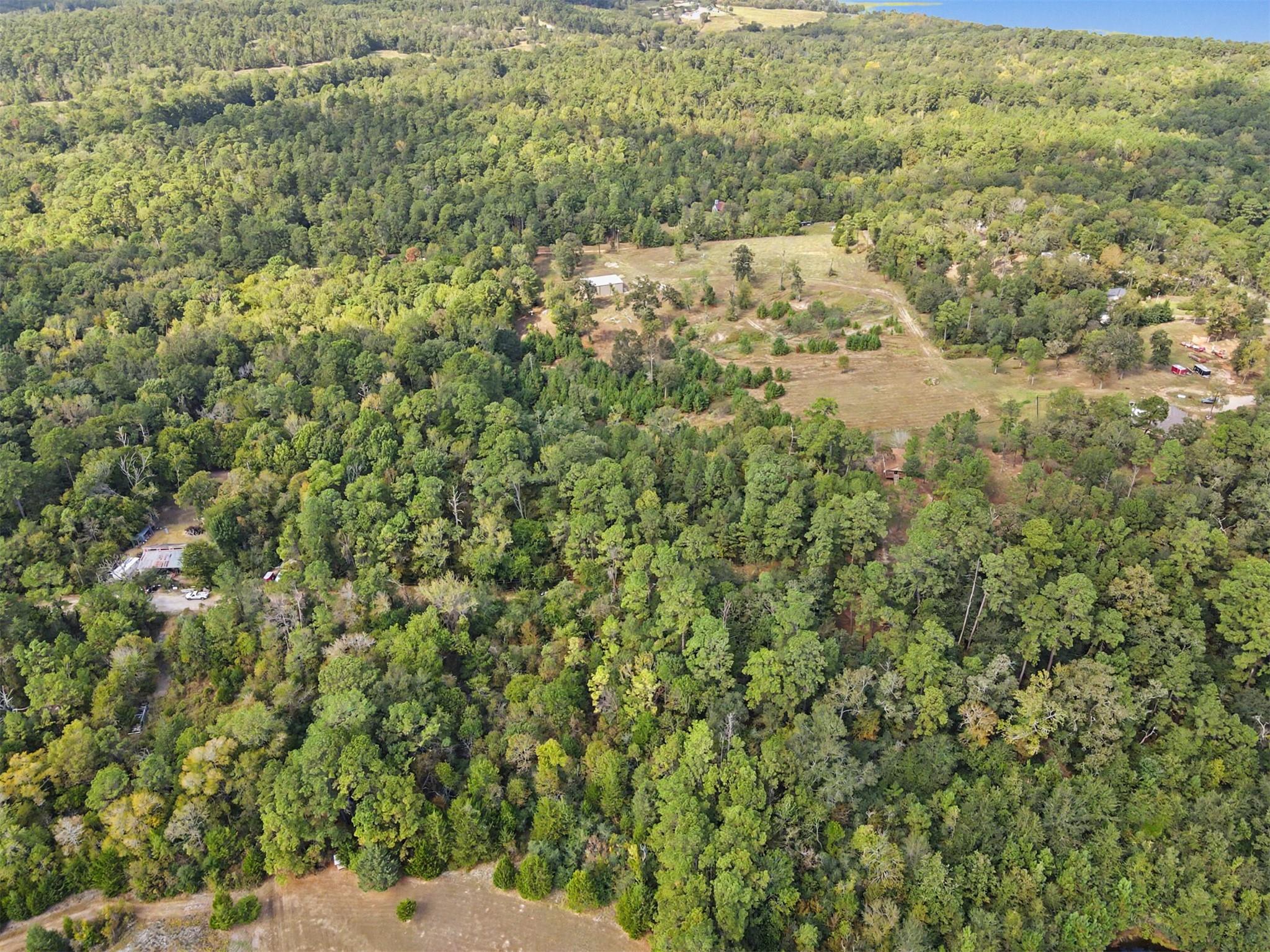 TBD The Woods Rd Lot 47 Road, Coldspring TX 77331 Property Photo 1