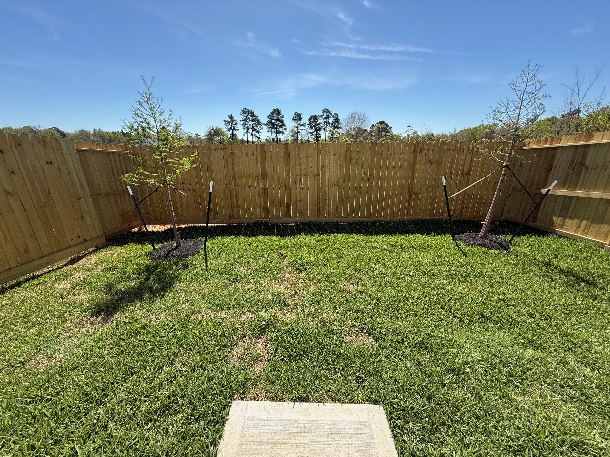 2709 Discovery Trails Court Property Photo 10