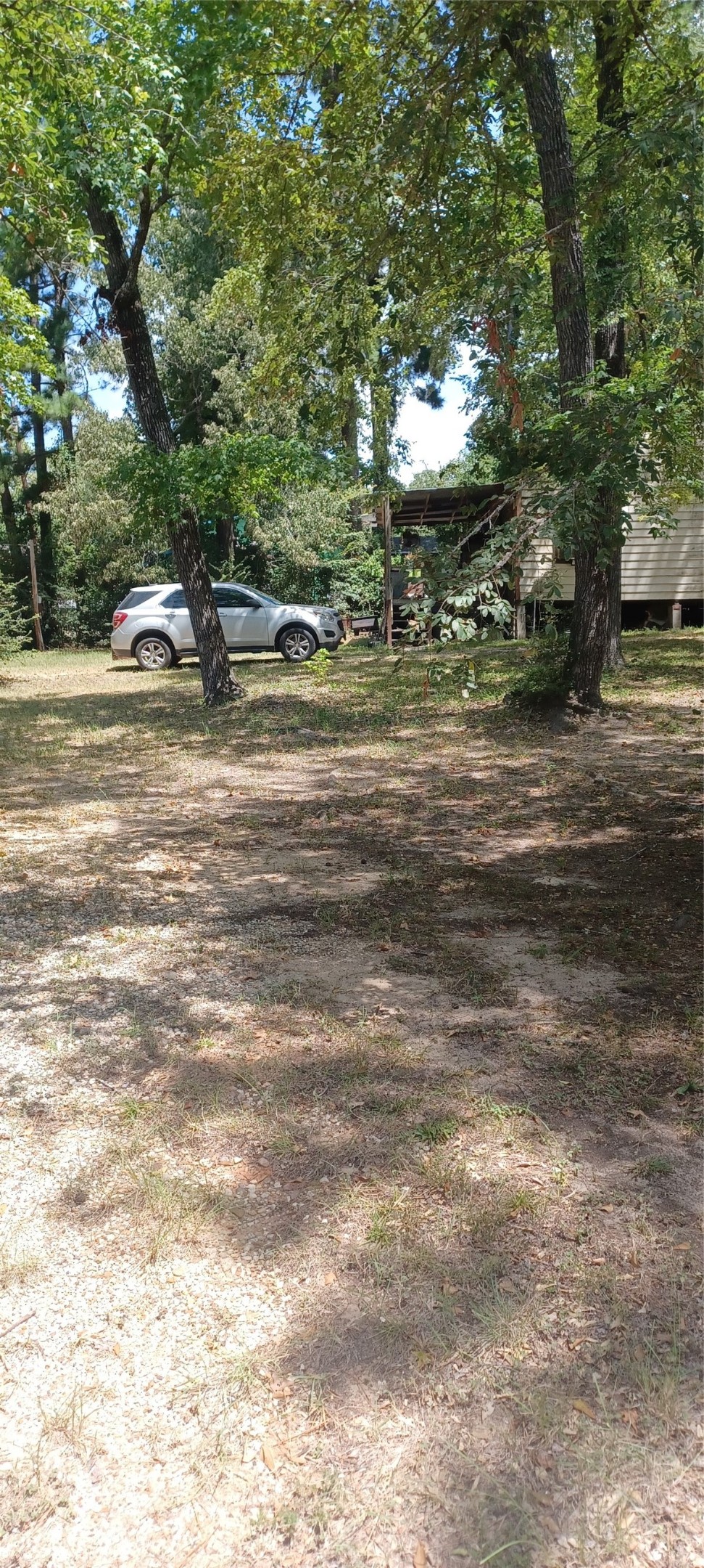 257 Hollow Oak Property Photo 3