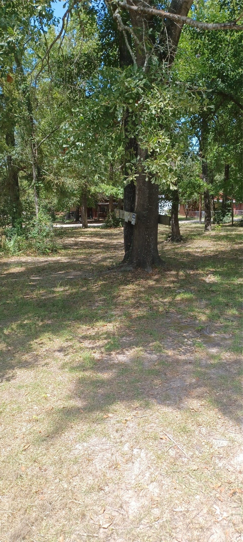 257 Hollow Oak Property Photo 6