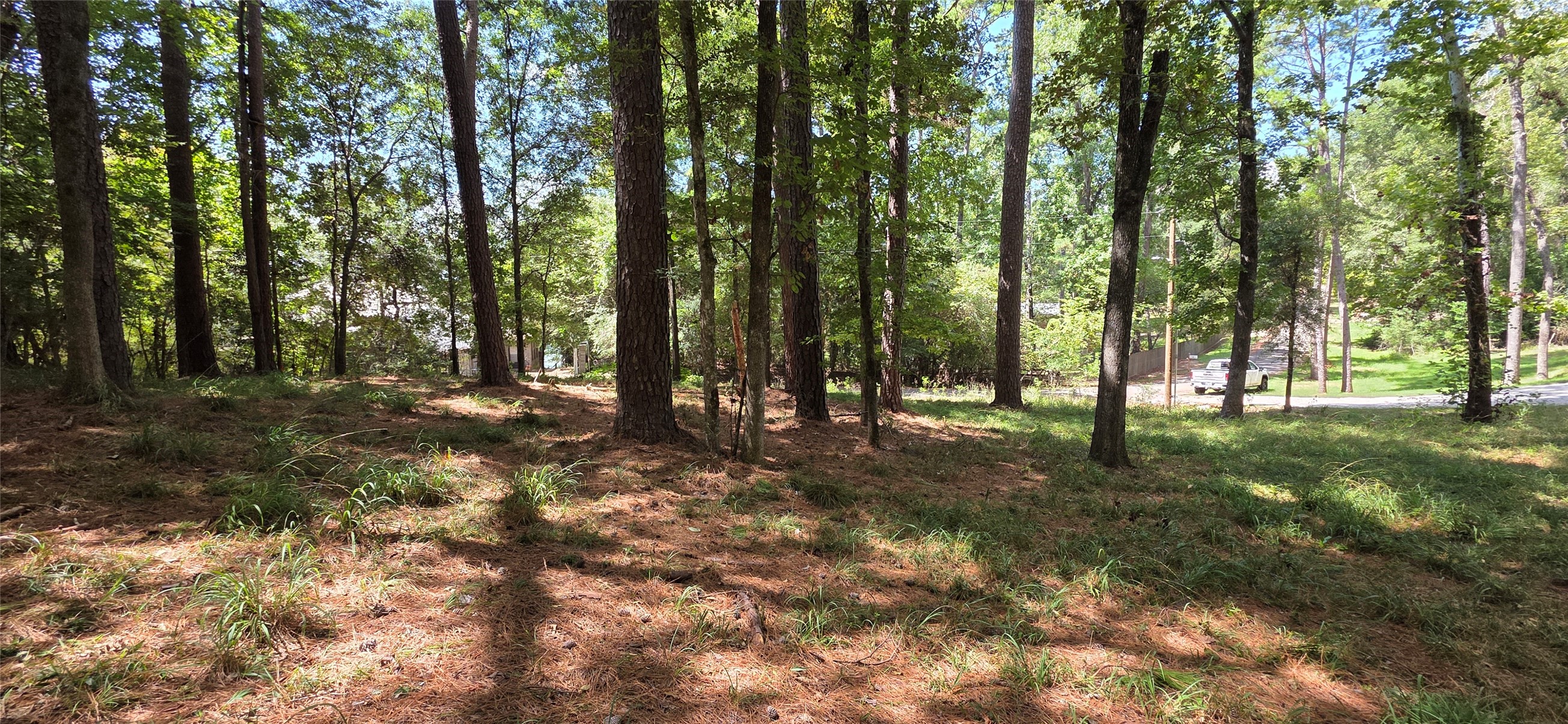 Tbd Forest Hills Dr Property Photo 1