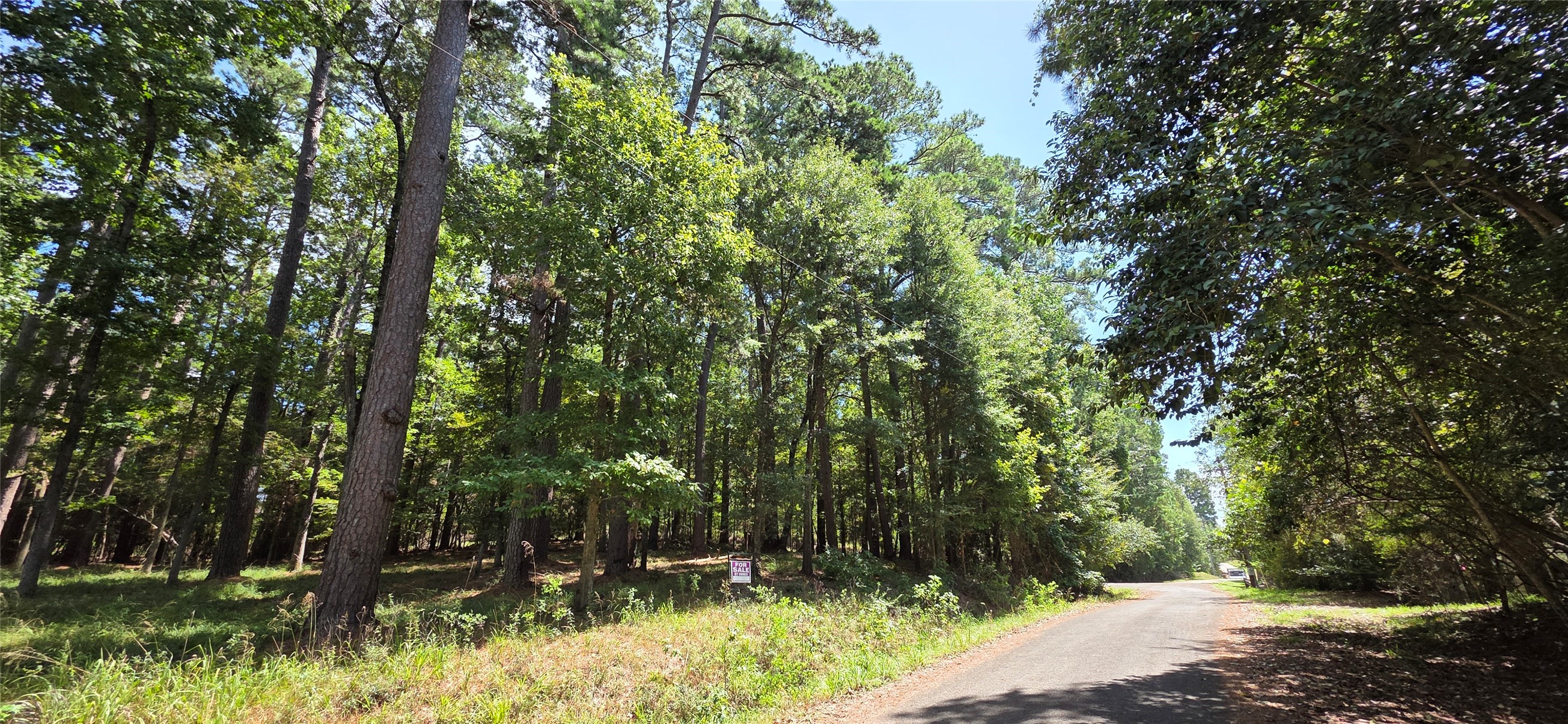 Tbd Forest Hills Dr Property Photo 3