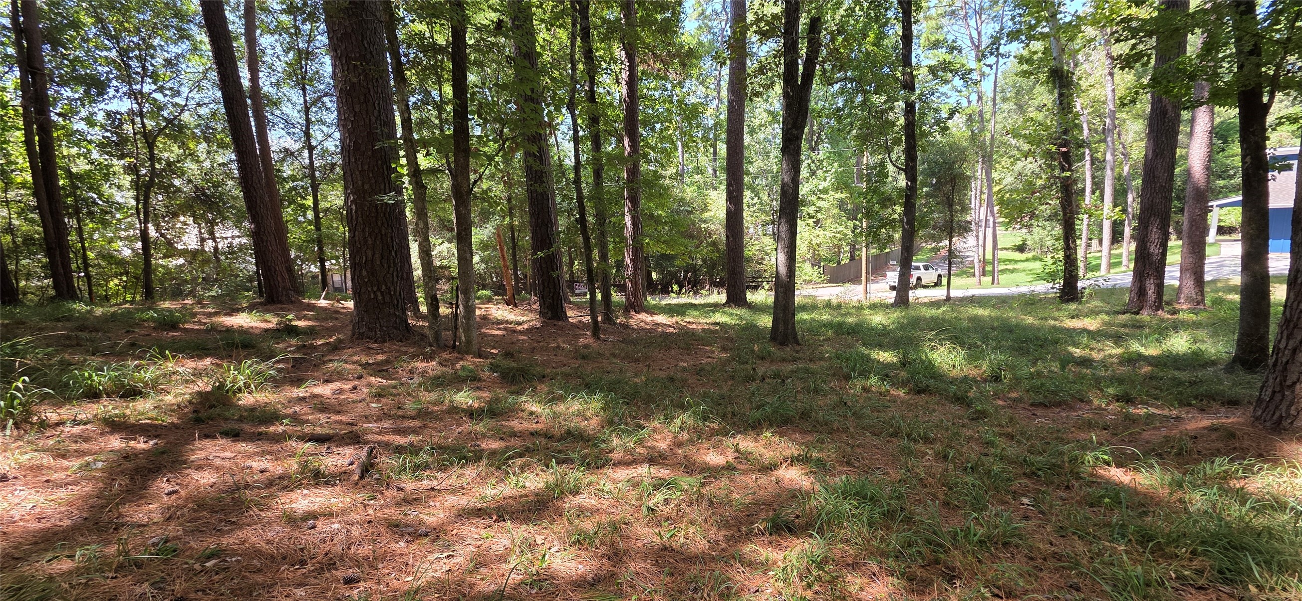 Tbd Forest Hills Dr Property Photo 4