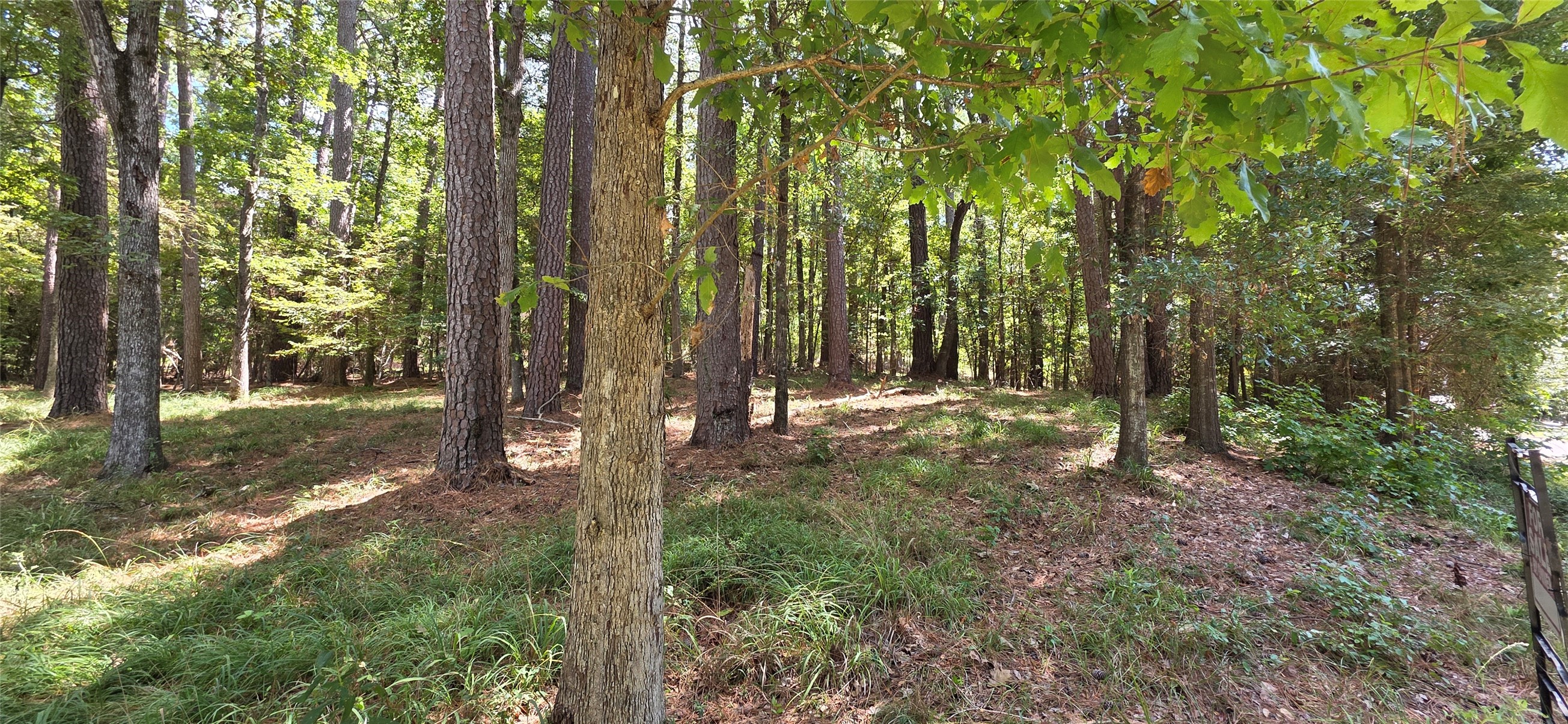Tbd Forest Hills Dr Property Photo 8