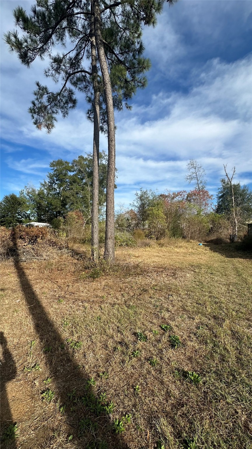 7119 Jessica Leann Drive Property Photo 5