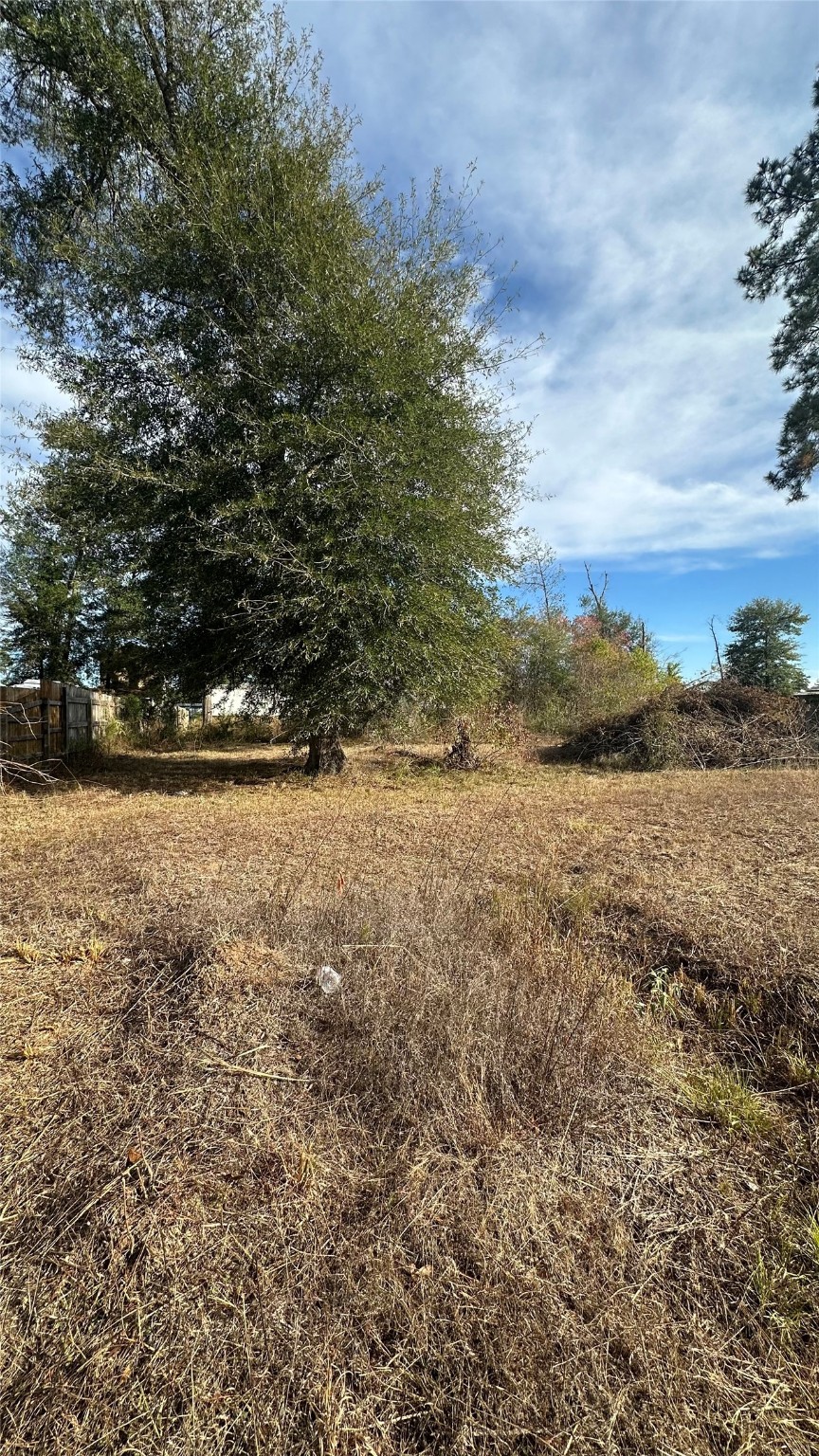 7119 Jessica Leann Drive Property Photo 6