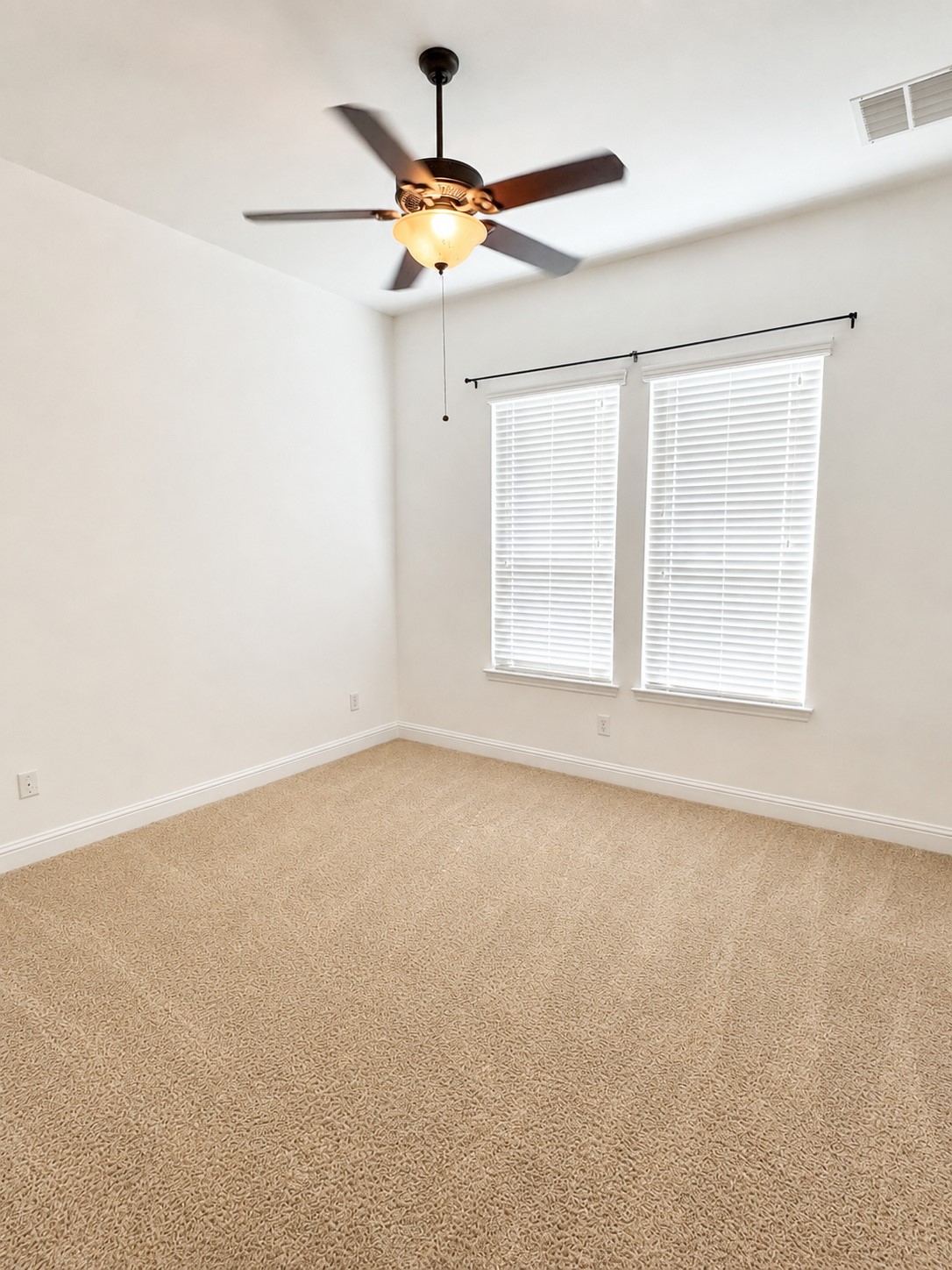 20507 Kurz Point Drive Property Photo 22