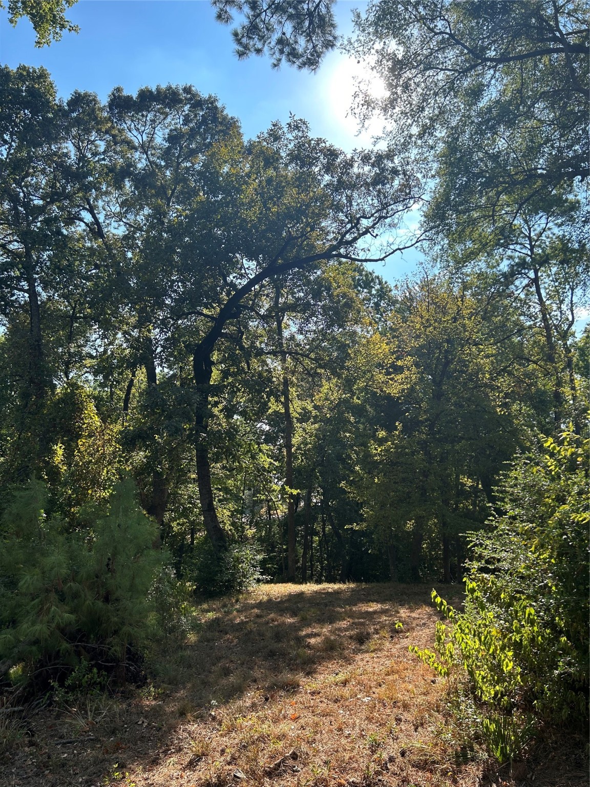 TBD Tiki Trail Property Photo 1