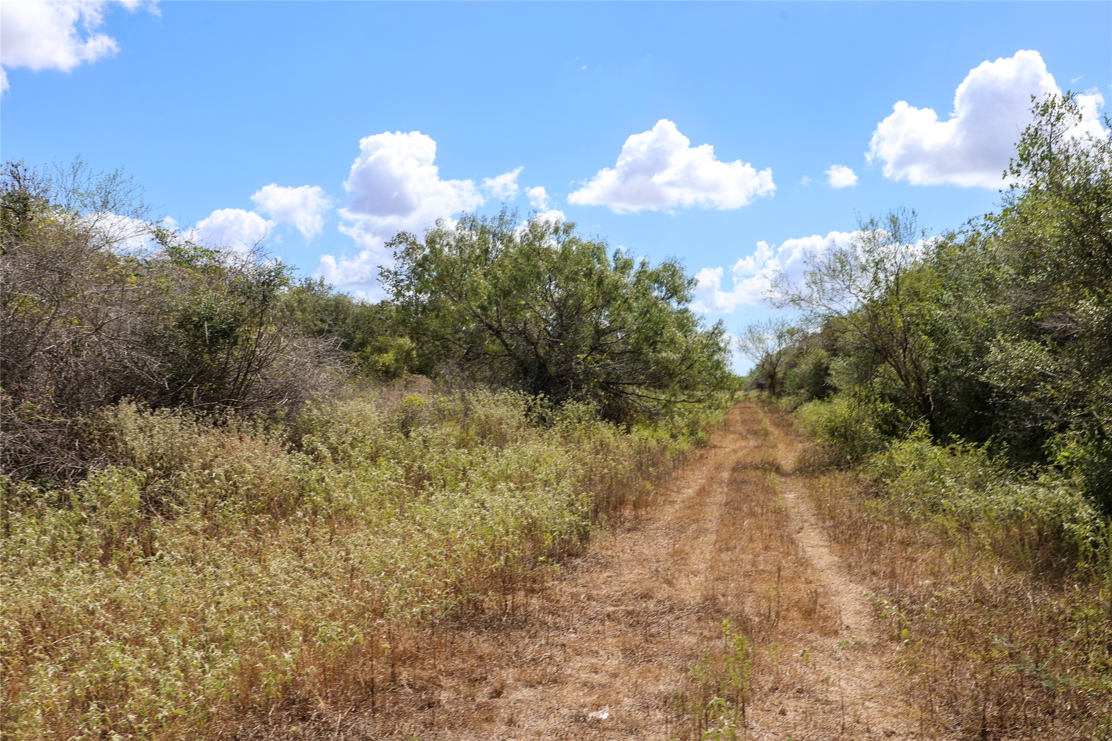 Tbd Parsons Road Property Photo 4