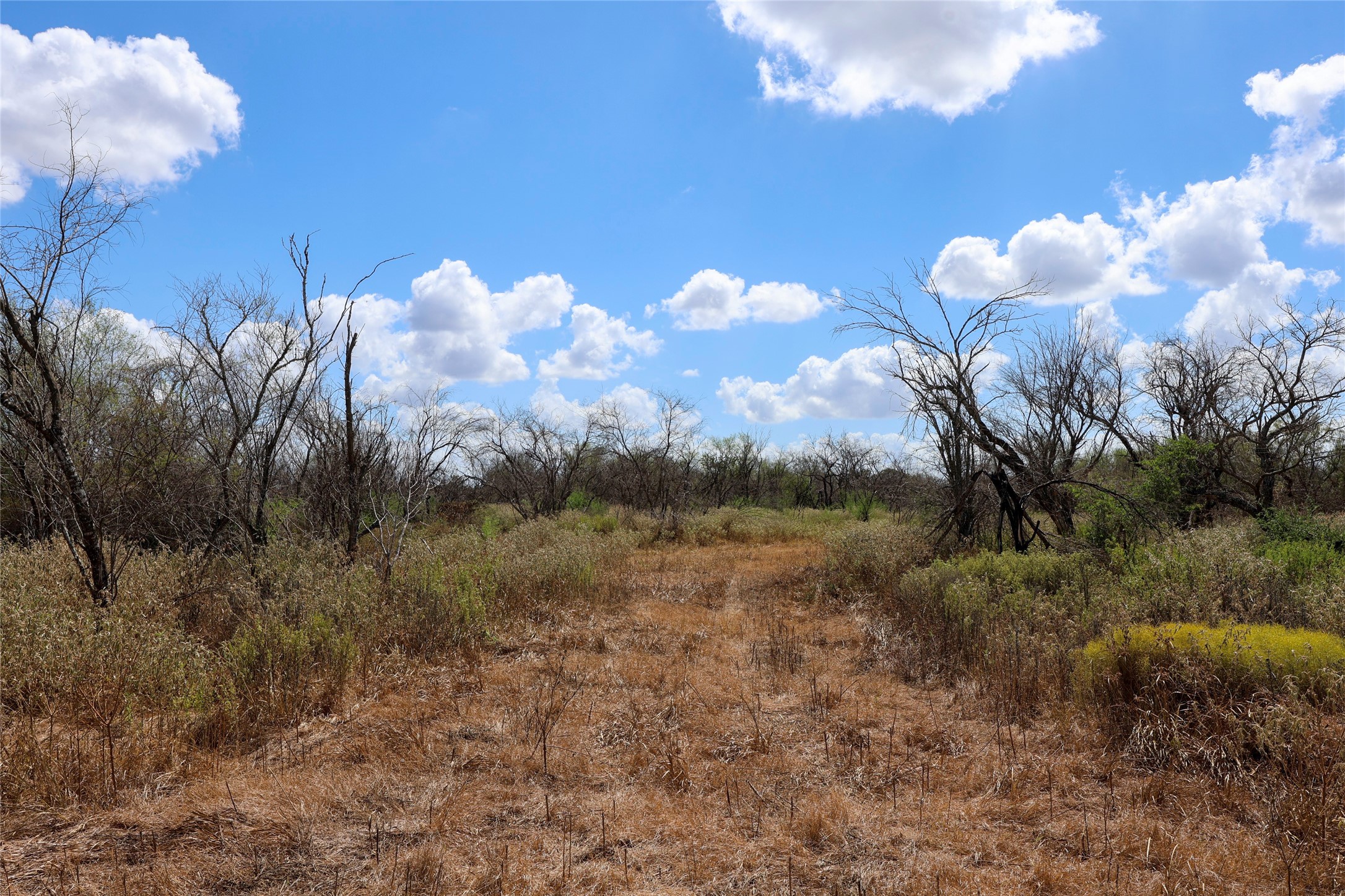 Tbd Parsons Road Property Photo 6