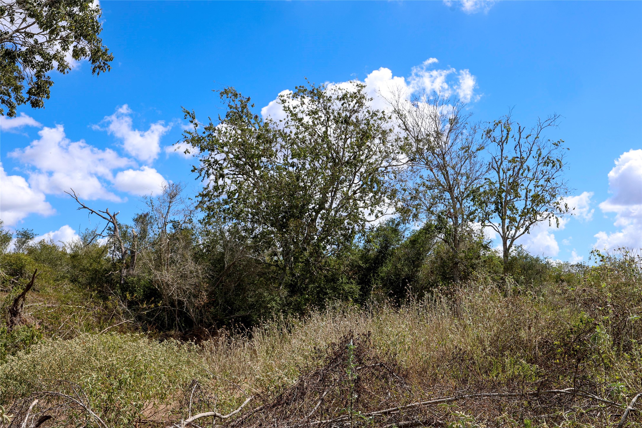 Tbd Parsons Road Property Photo 8