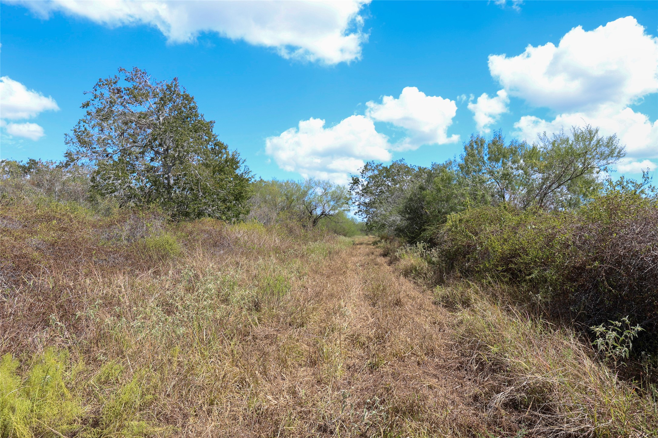 Tbd Parsons Road Property Photo 9