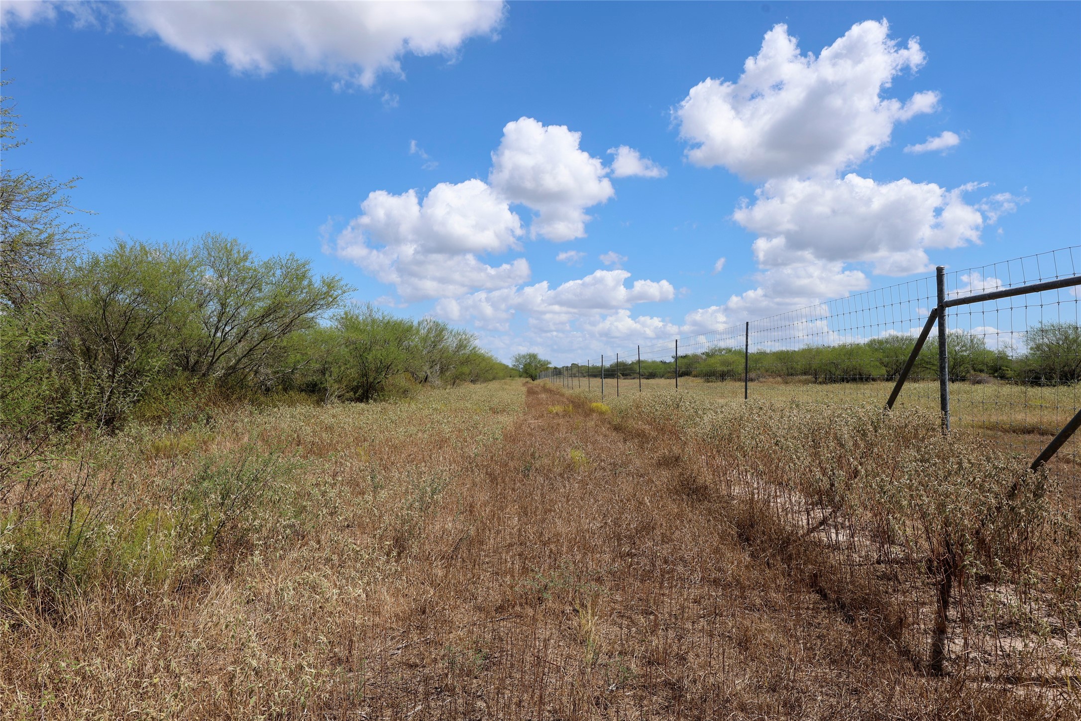 Tbd Parsons Road Property Photo 10