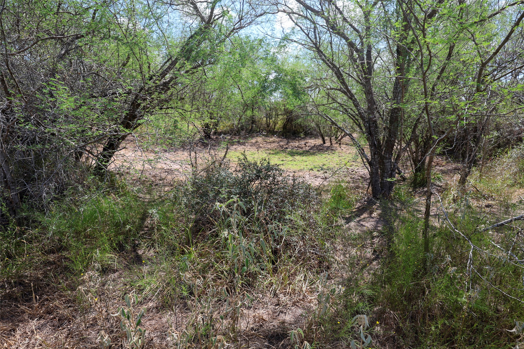 Tbd Parsons Road Property Photo 13