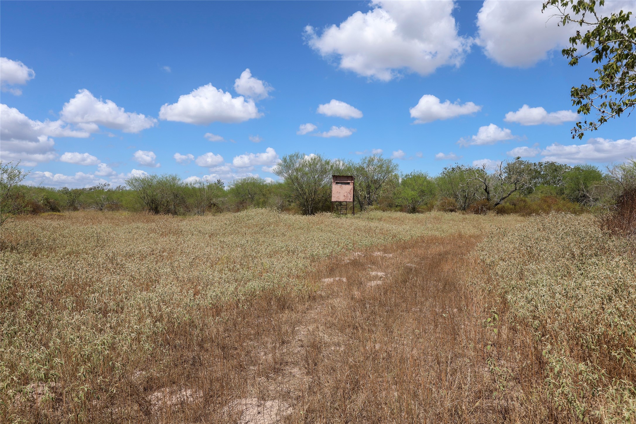 Tbd Parsons Road Property Photo 18