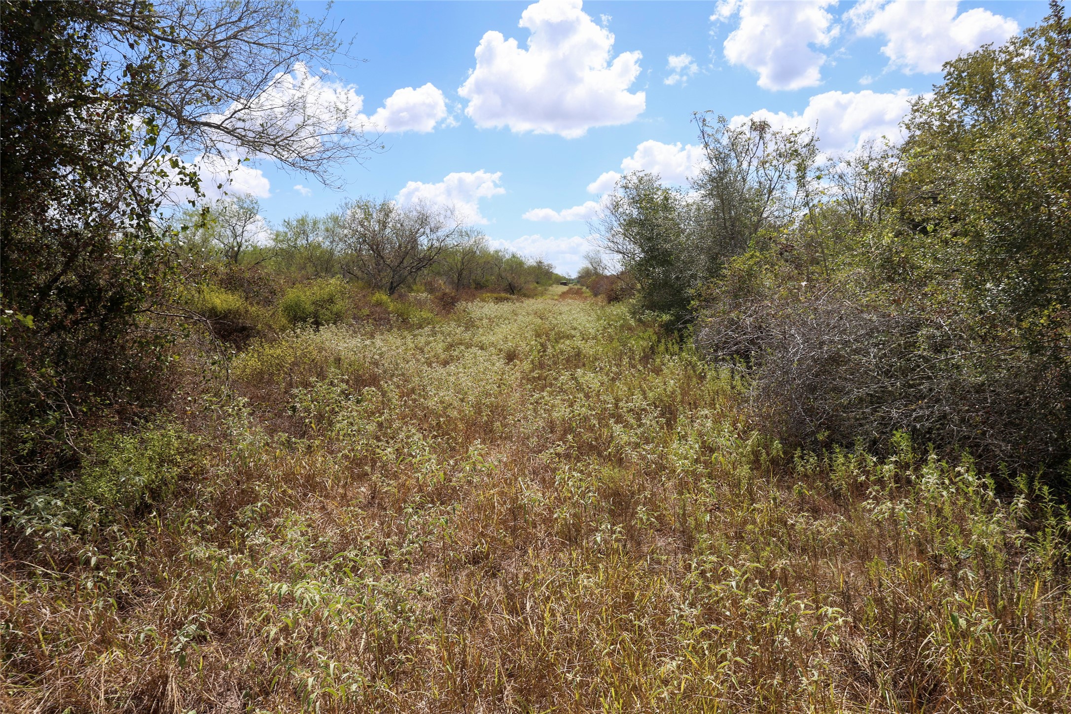 Tbd Parsons Road Property Photo 23