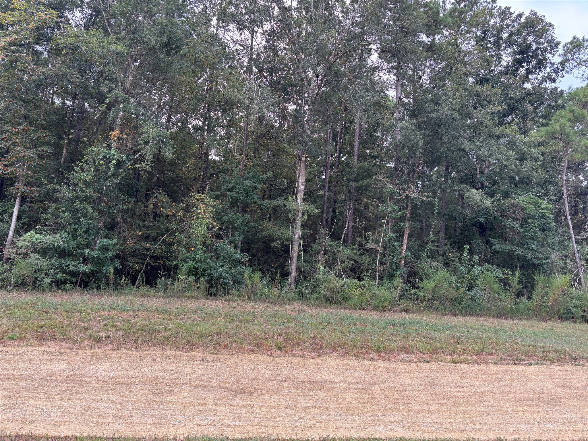15223 Forest Grove Drive Property Photo 1