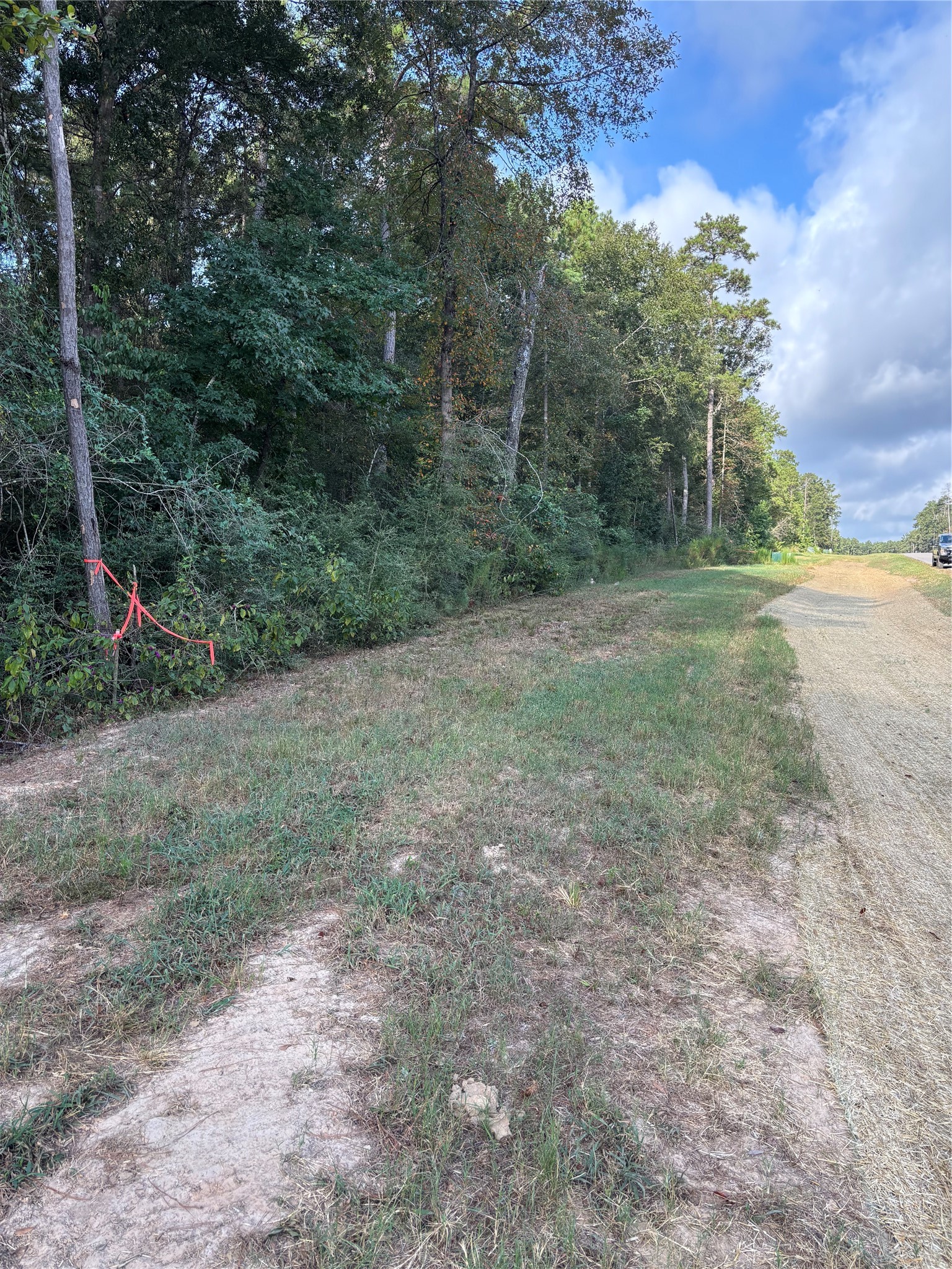 15223 Forest Grove Drive Property Photo 5