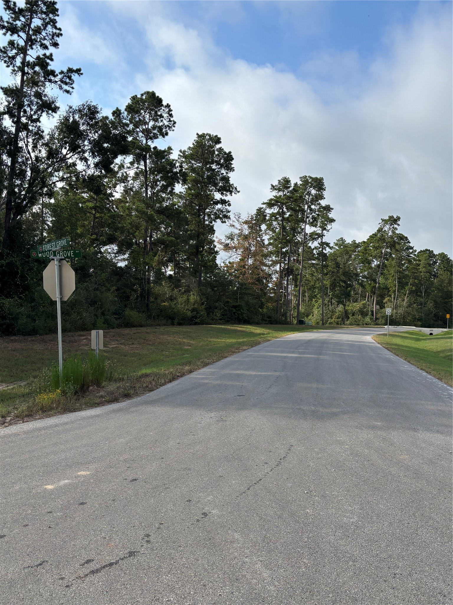 15223 Forest Grove Drive Property Photo 10