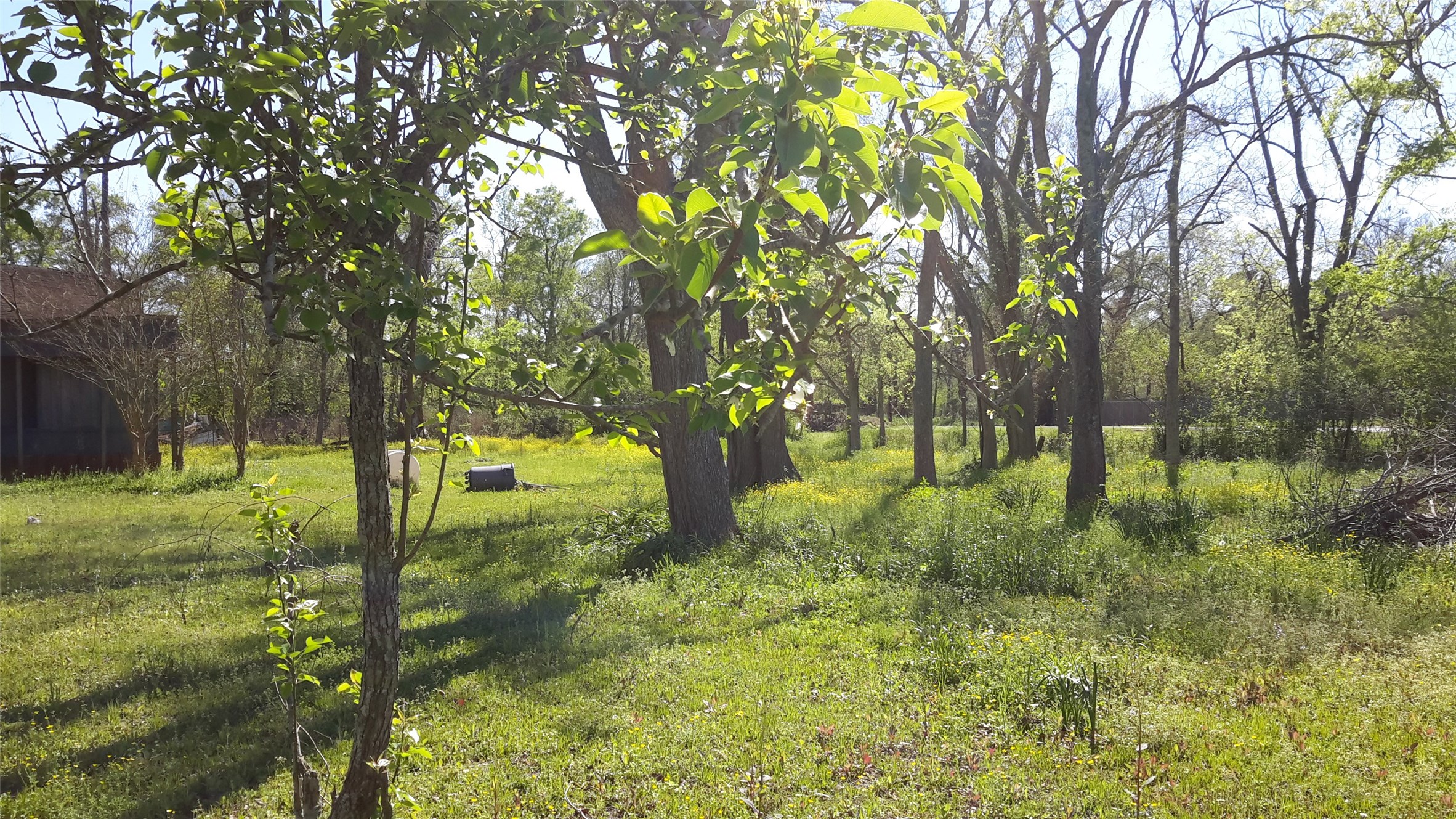 8826 W Humble Westfield Road Property Photo 1