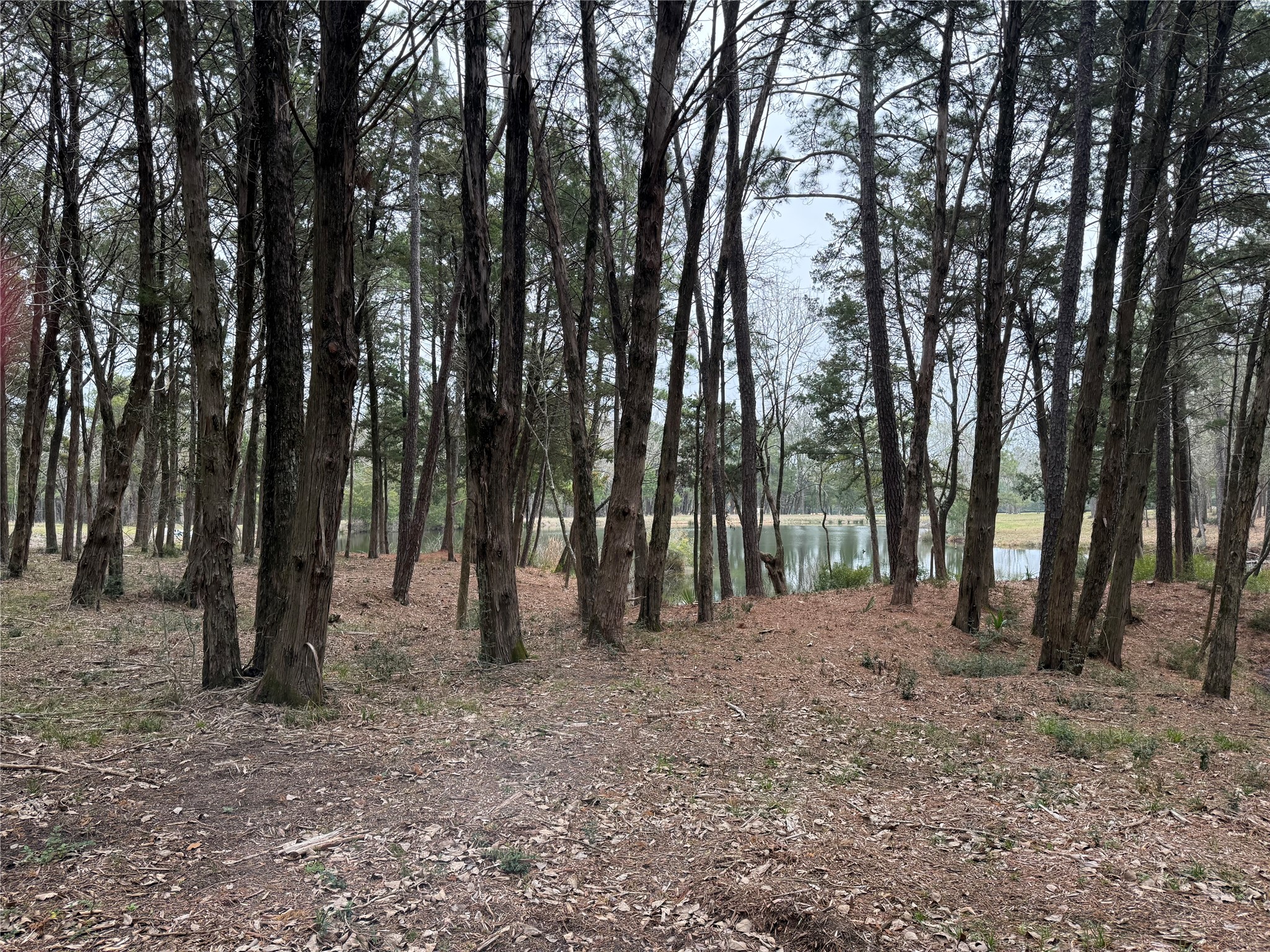 Lot 7 Block 2 Evergreen Hill Lane Property Photo 3