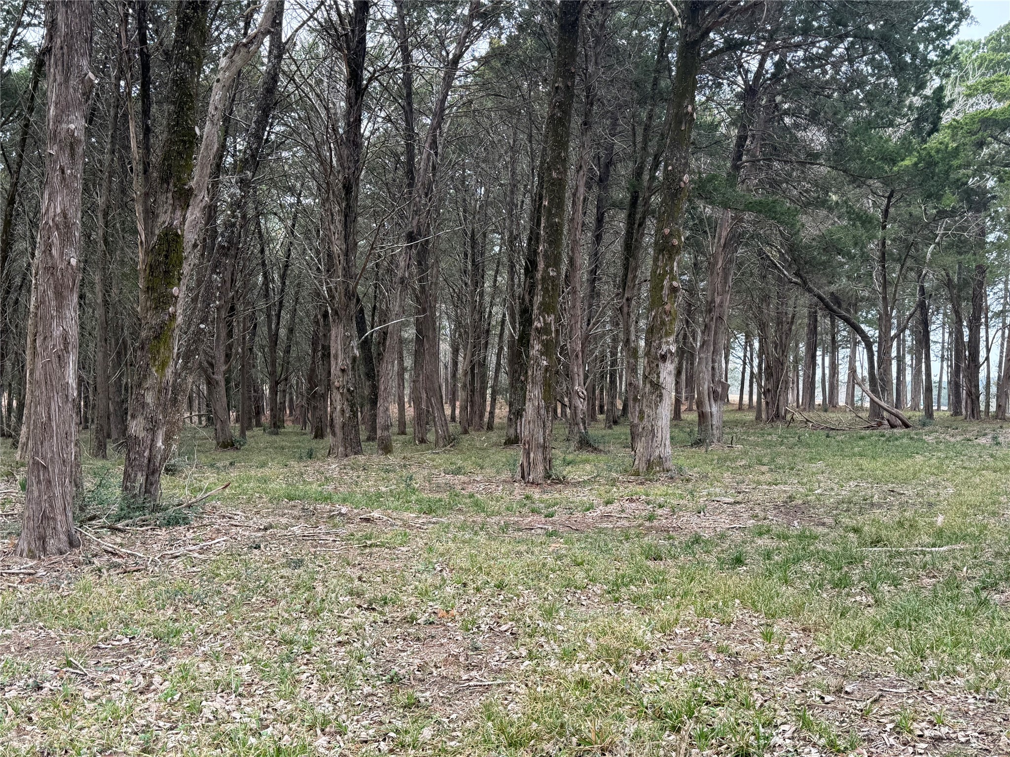Lot 7 Block 2 Evergreen Hill Lane Property Photo 6
