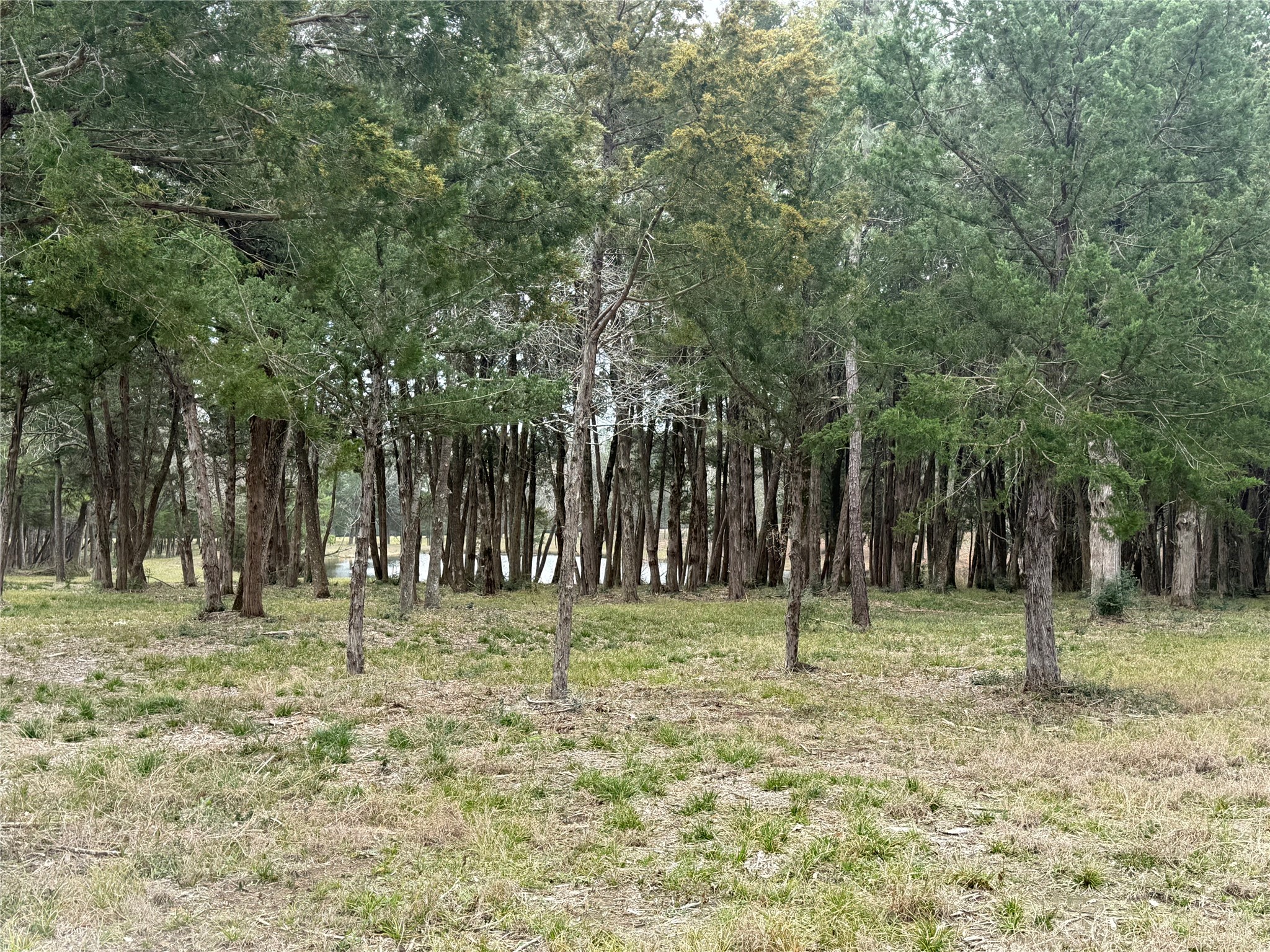 Lot 7 Block 2 Evergreen Hill Lane Property Photo 7