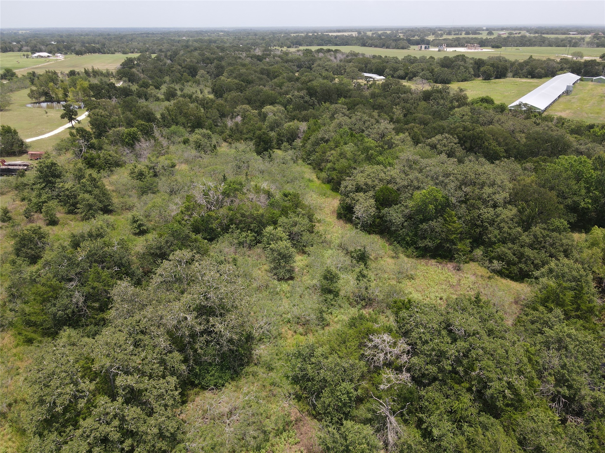 8370 County Road 150 Property Photo 16