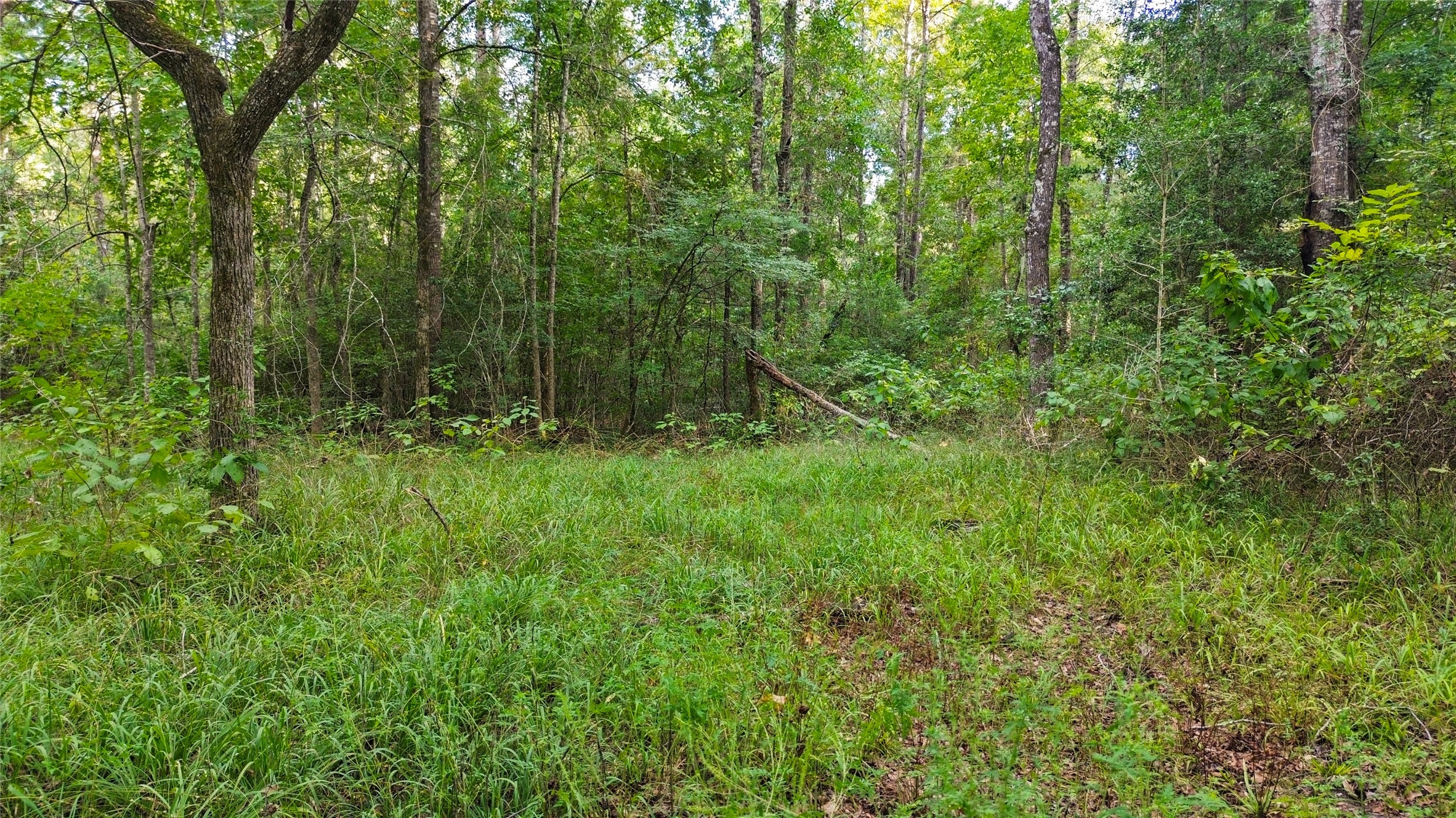 304 Hardy Bottom Road Property Photo 10