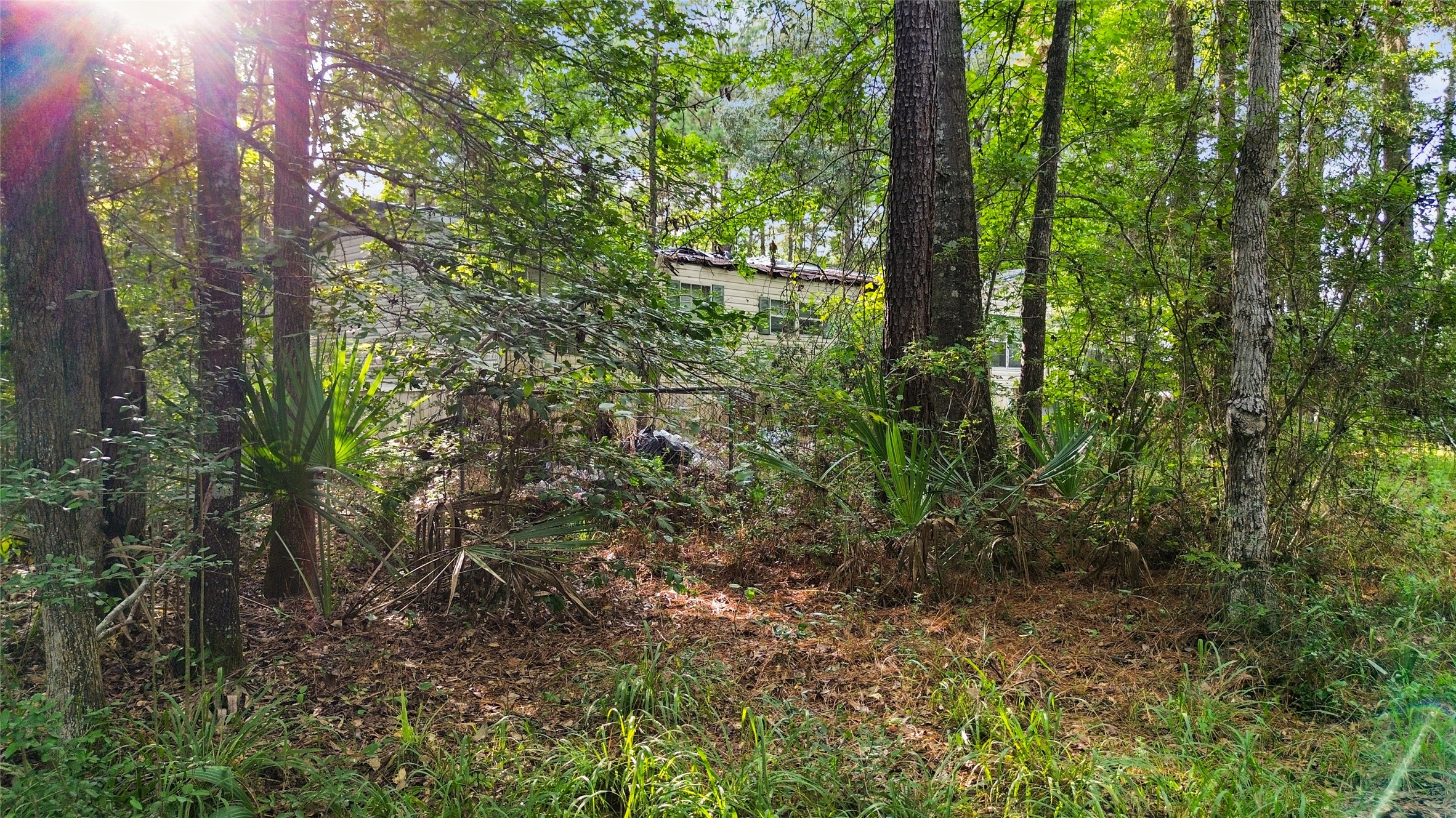 304 Hardy Bottom Road Property Photo 11