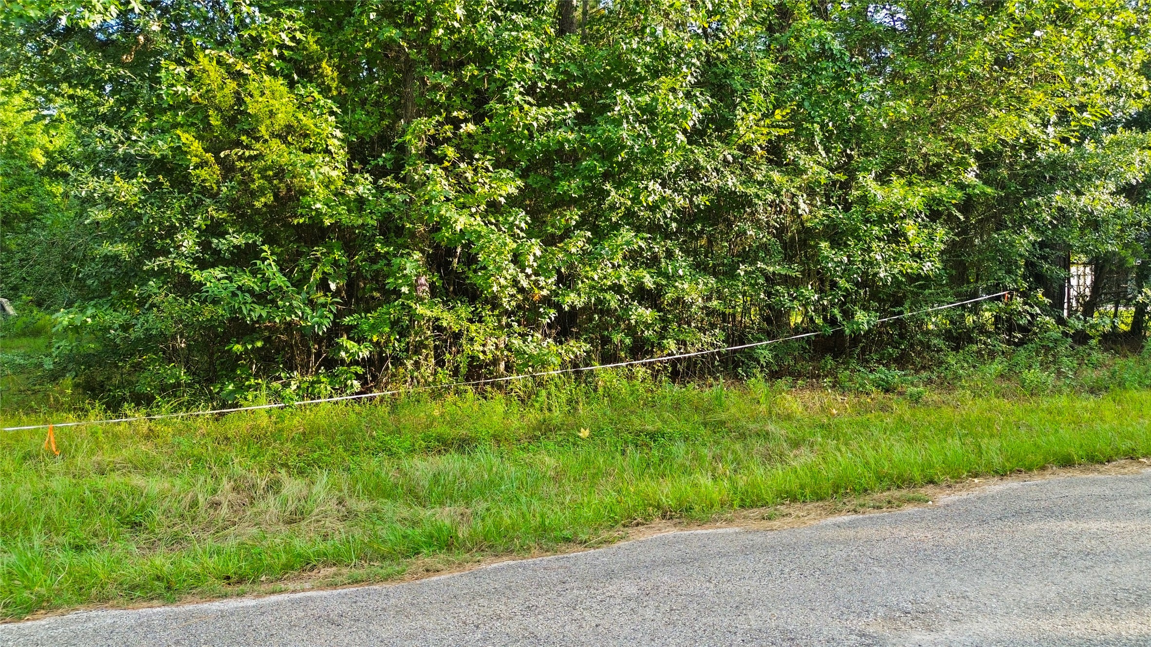 304 Hardy Bottom Road Property Photo 12