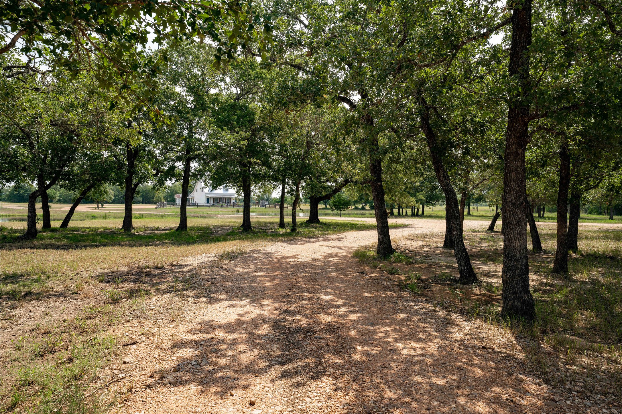 5939 Round Top Road Property Photo 10