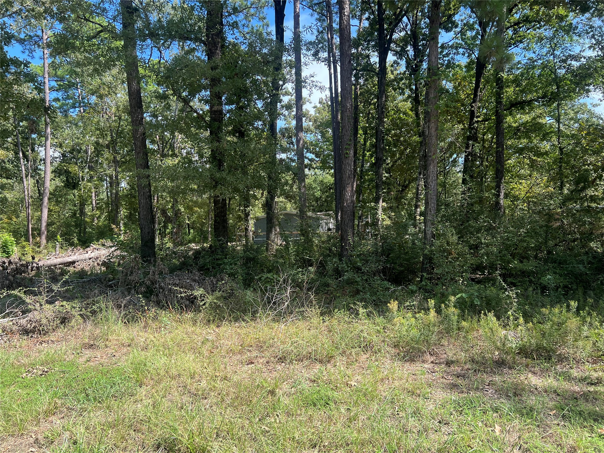 Tbd Meridian Lot 22 Property Photo 3