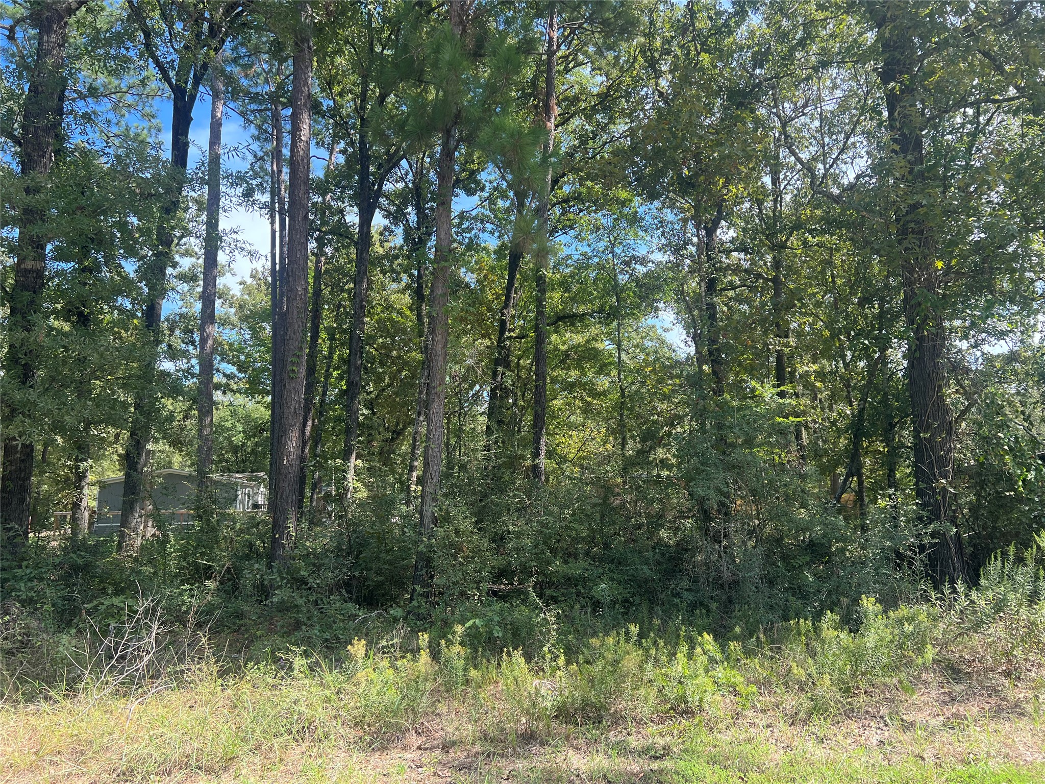 Tbd Meridian Lot 22 Property Photo 4