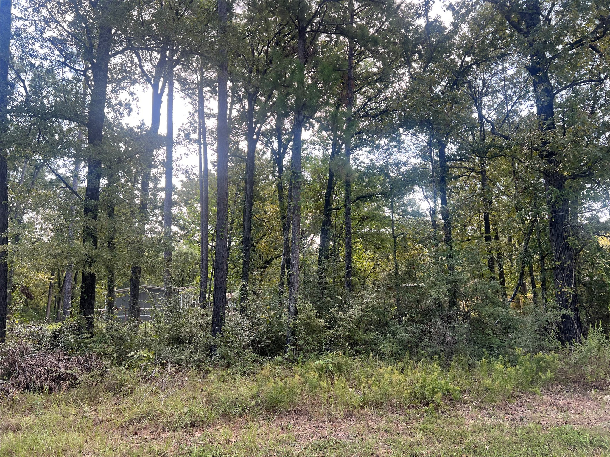 Tbd Meridian Lot 22 Property Photo 5