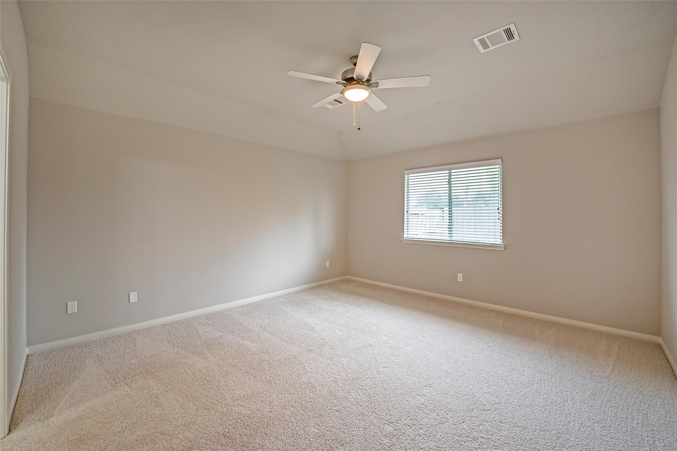 6103 Branch Lake Drive Property Photo 20