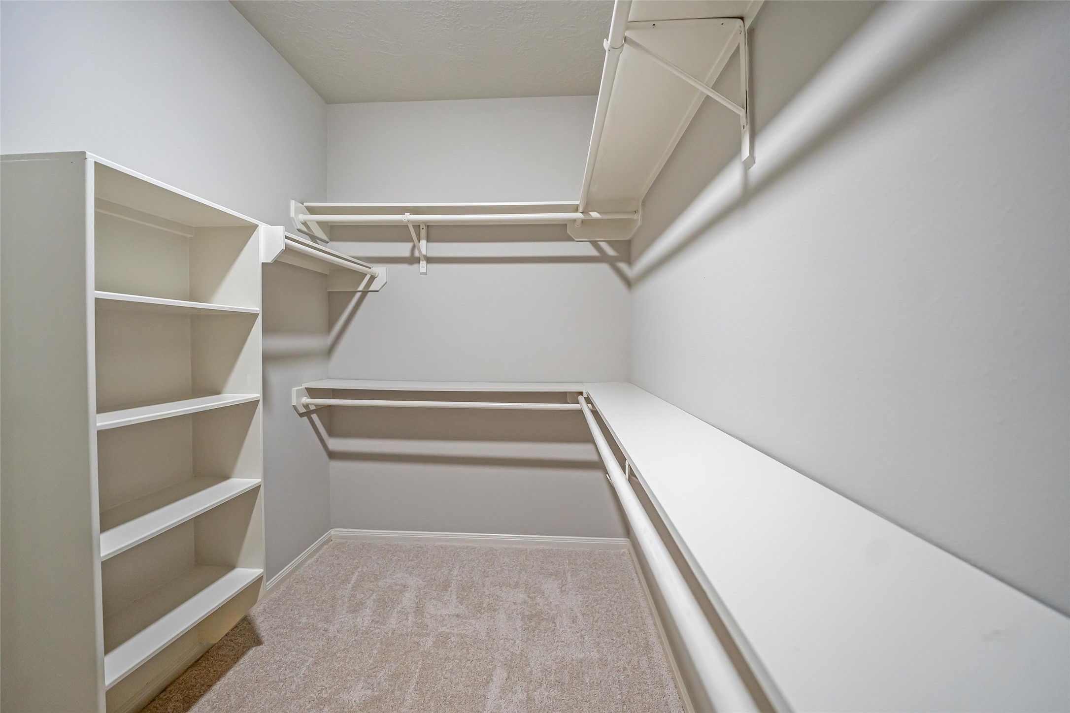 6103 Branch Lake Drive Property Photo 21