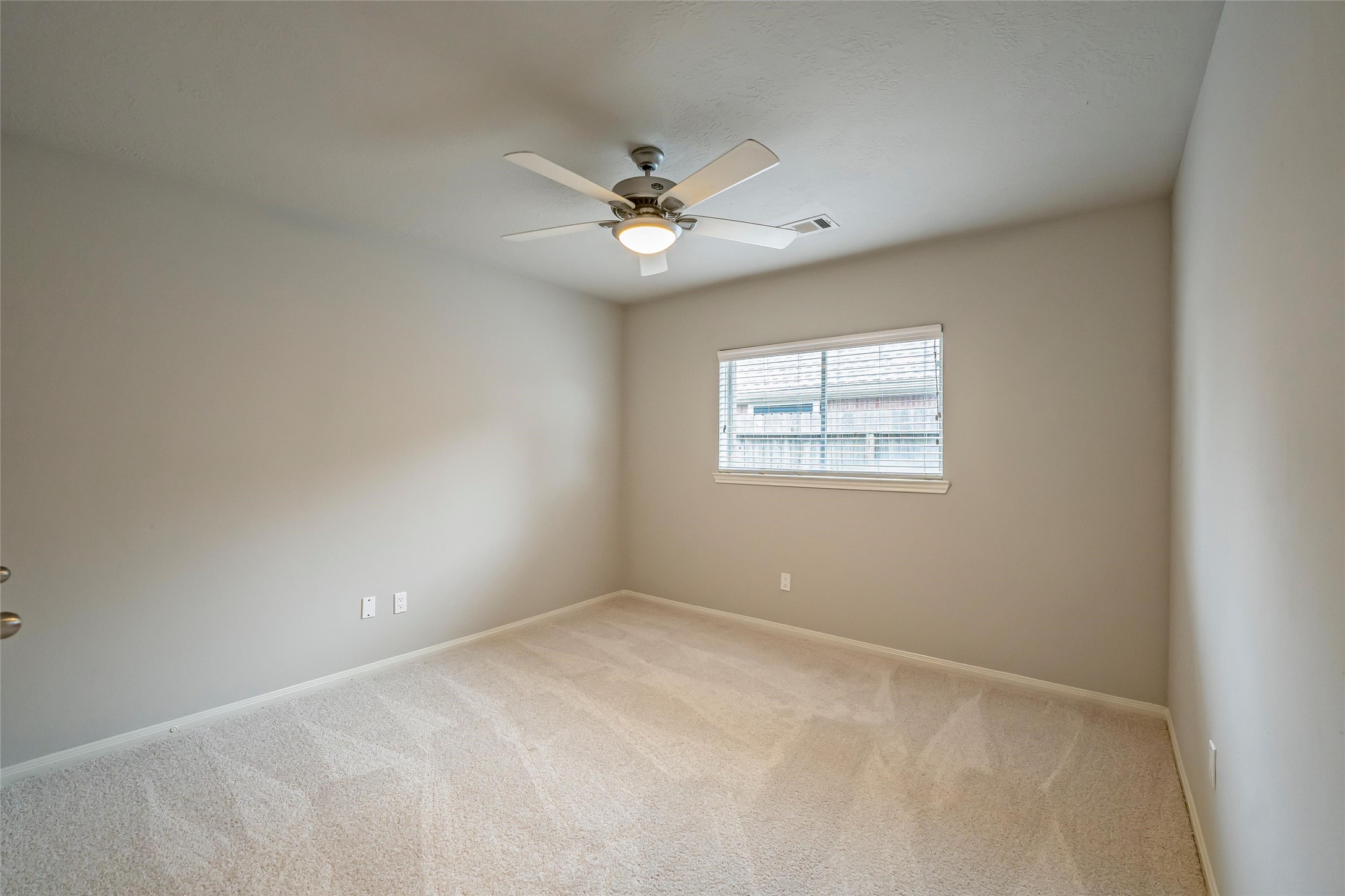 6103 Branch Lake Drive Property Photo 27