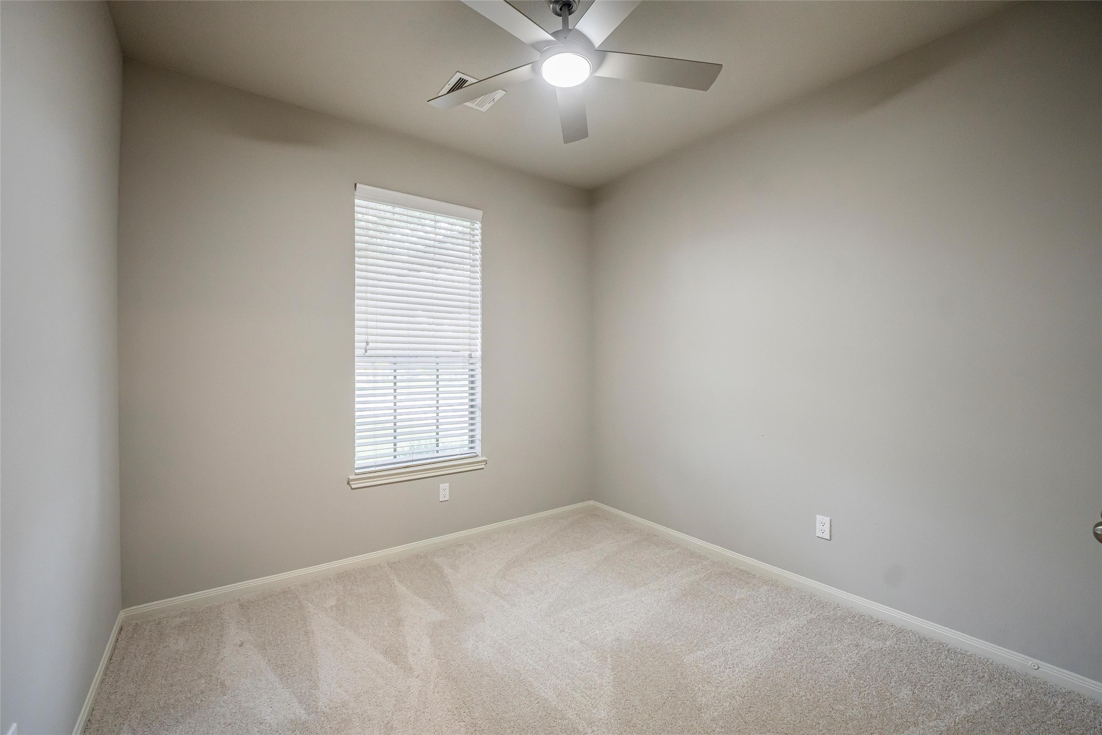 6103 Branch Lake Drive Property Photo 29
