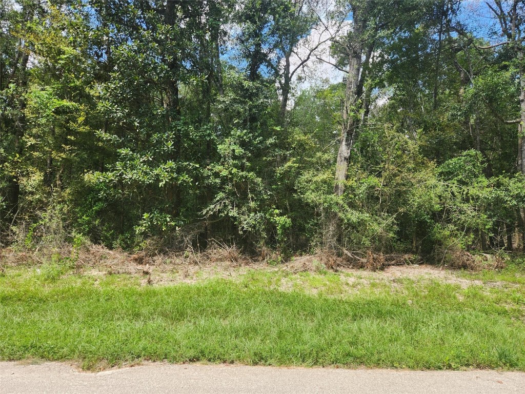 00 Idlewood Rdwy Property Photo 1