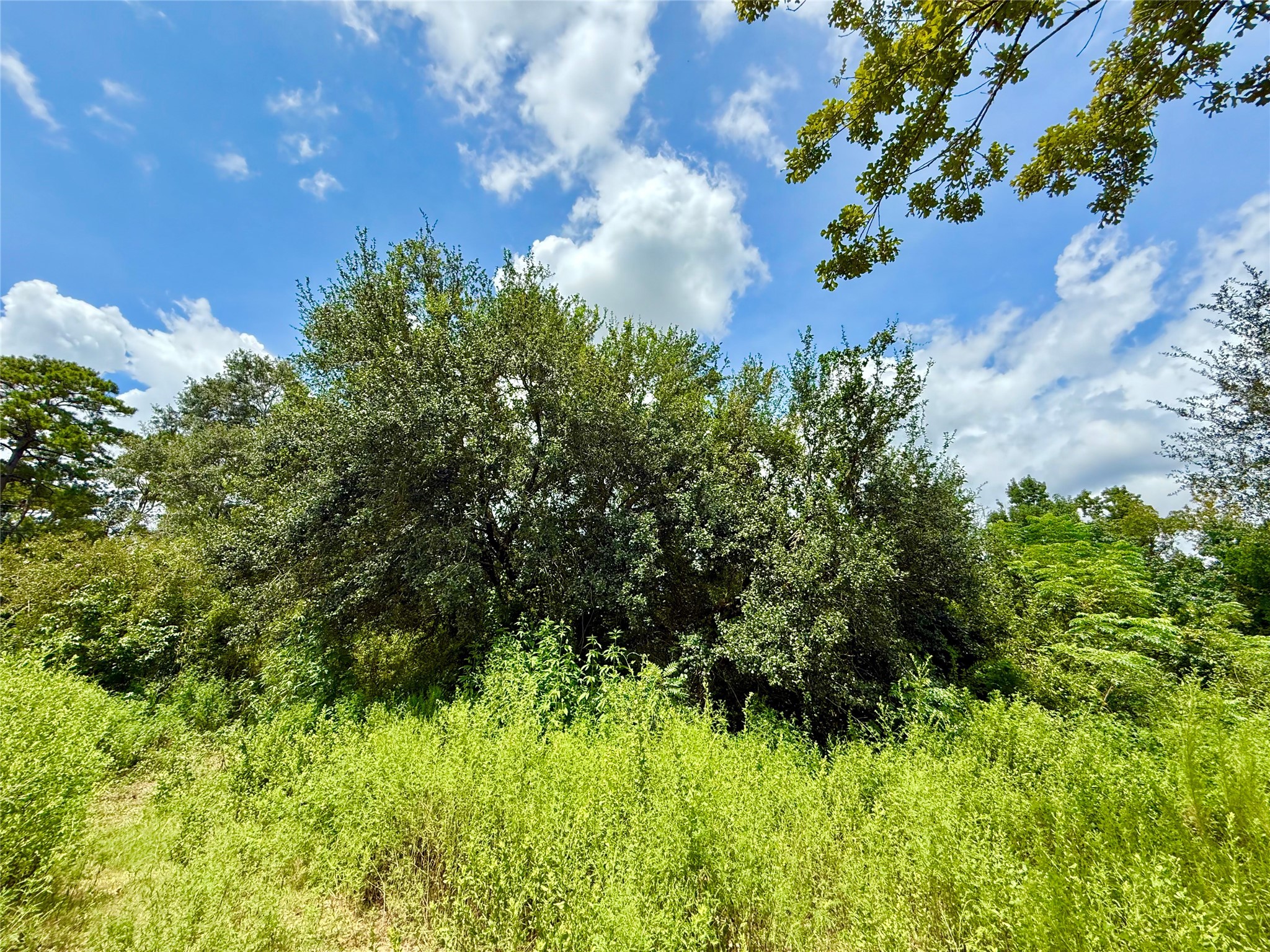 49 Robert E Lee Drive Property Photo 23