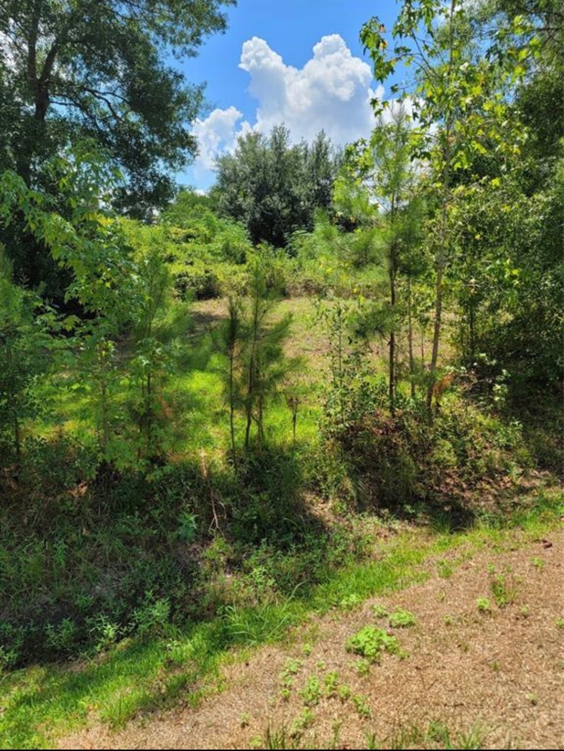 49 Robert E Lee Drive Property Photo 25