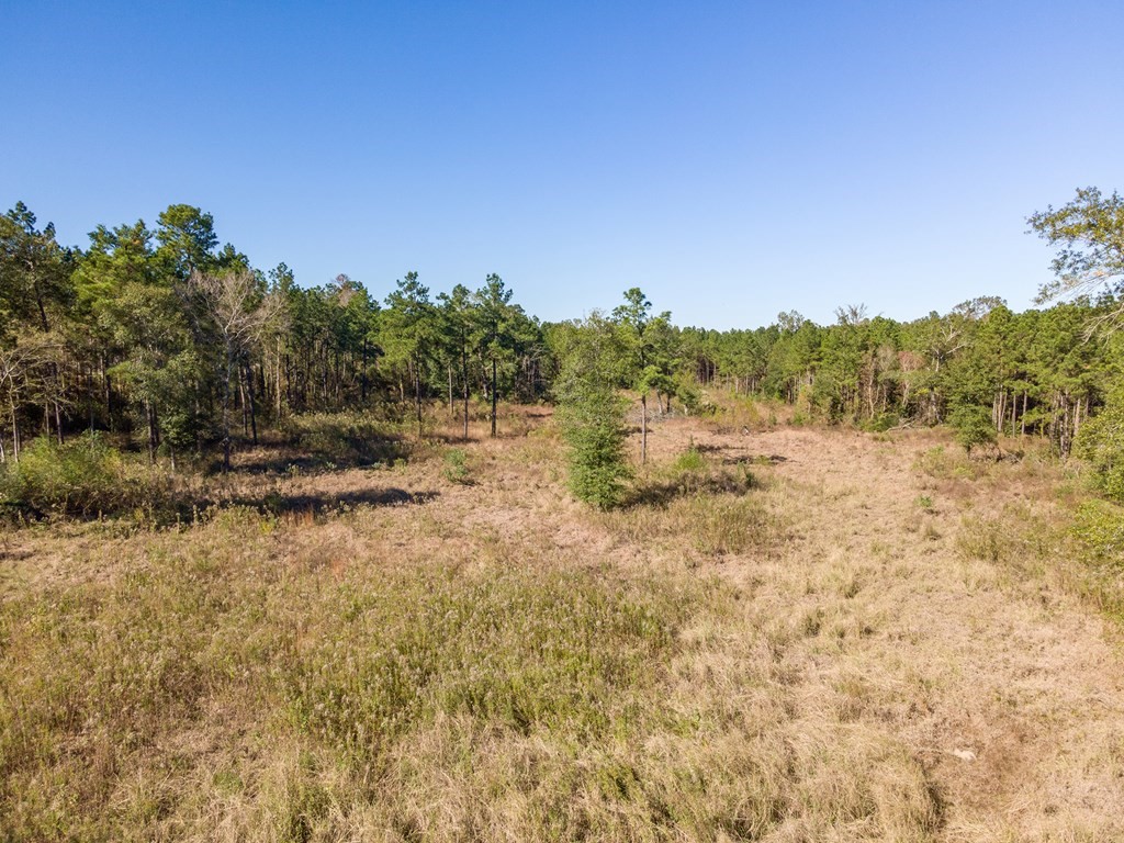 2700 Old Union Road Property Photo 4