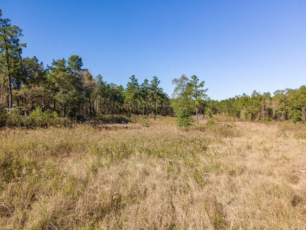 2700 Old Union Road Property Photo 7